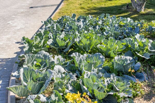 Gallery - Geolivia Luxury Villas Rental in Heraklion Crete