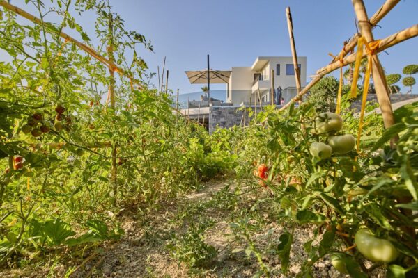 Geolivia Twin Luxurious Villas Rental Crete - Exterior - Bio Garden